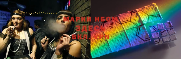 индика Сафоново
