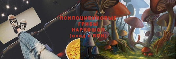 индика Сафоново