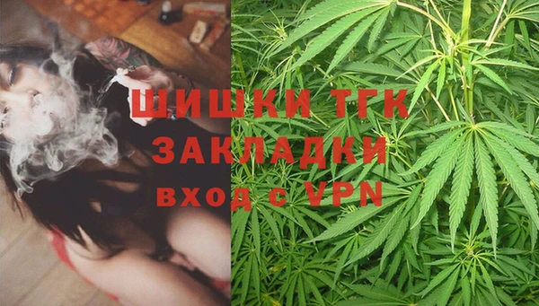 PSILOCYBIN Алзамай