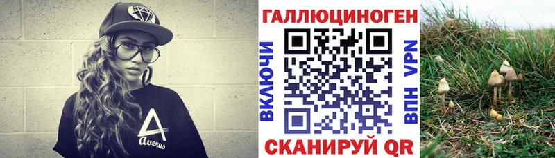 площадка клад  Чкаловск  Галлюциногенные грибы Magic Shrooms 
